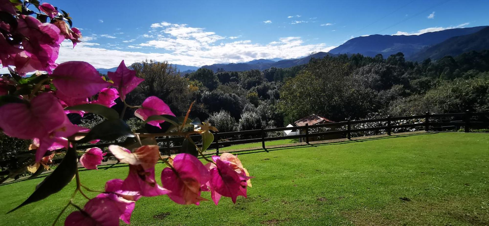 努埃瓦德兰斯 El Corral Del Acebo旅馆 外观 照片